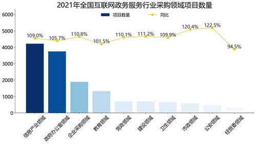 2021年全國互聯(lián)網(wǎng)政務(wù)服務(wù)行業(yè)招標(biāo)采購報告（簡版）——聚焦北京網(wǎng)絡(luò)技術(shù)服務(wù)